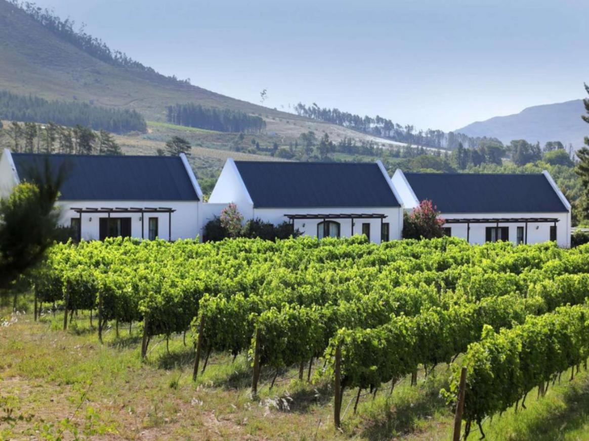 Chambray Estate - The Terraces In The Vines 3* Franschhoek