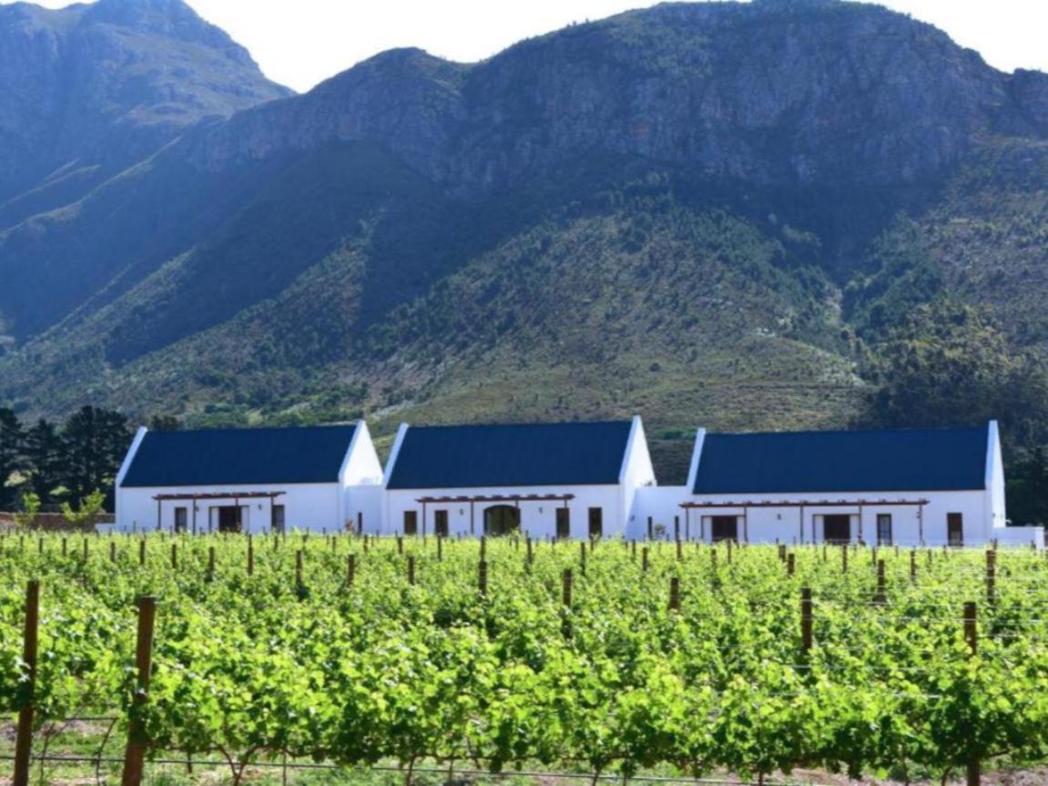Frühstückspension Chambray Estate - The Terraces In The Vines