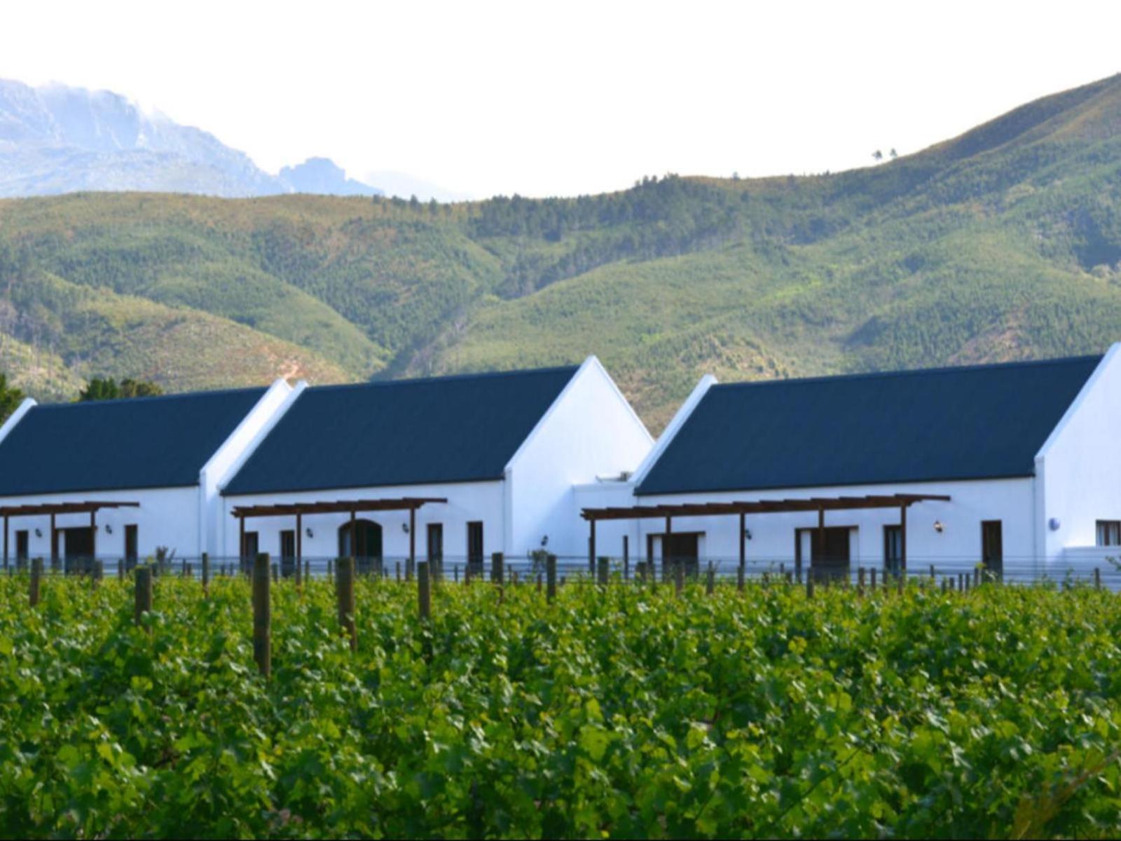Frühstückspension Chambray Estate - The Terraces In The Vines 3*