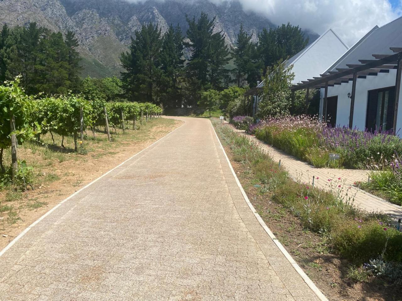 Chambray Estate - The Terraces In The Vines Frühstückspension 3*
